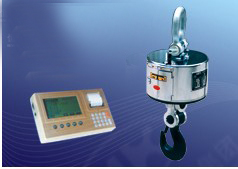 ORS- Normal Electronic Hanging Scale
