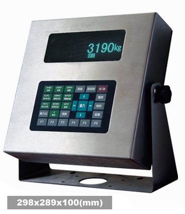 Digital Meter series-XK3190—DS2