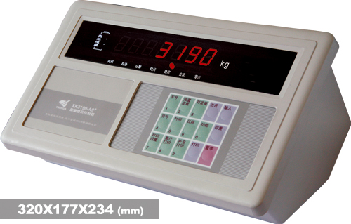 Truck Meter-XK3190—A9+