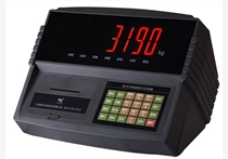 Digital Meter-XK3190-DS3m1